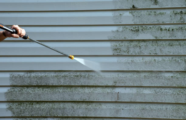 Best Rust Removal  in Wilsonville, AL